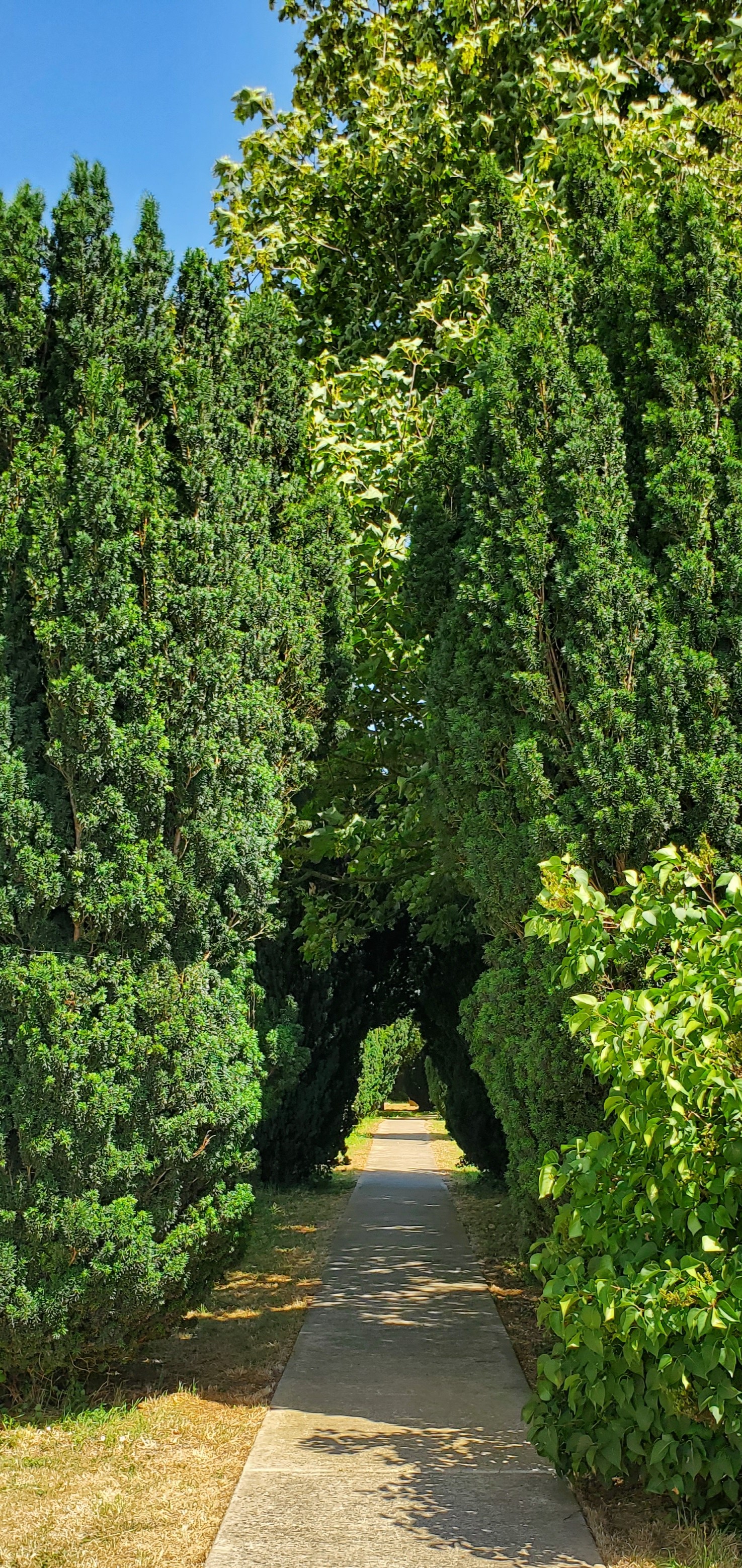 Holland Fen Church path