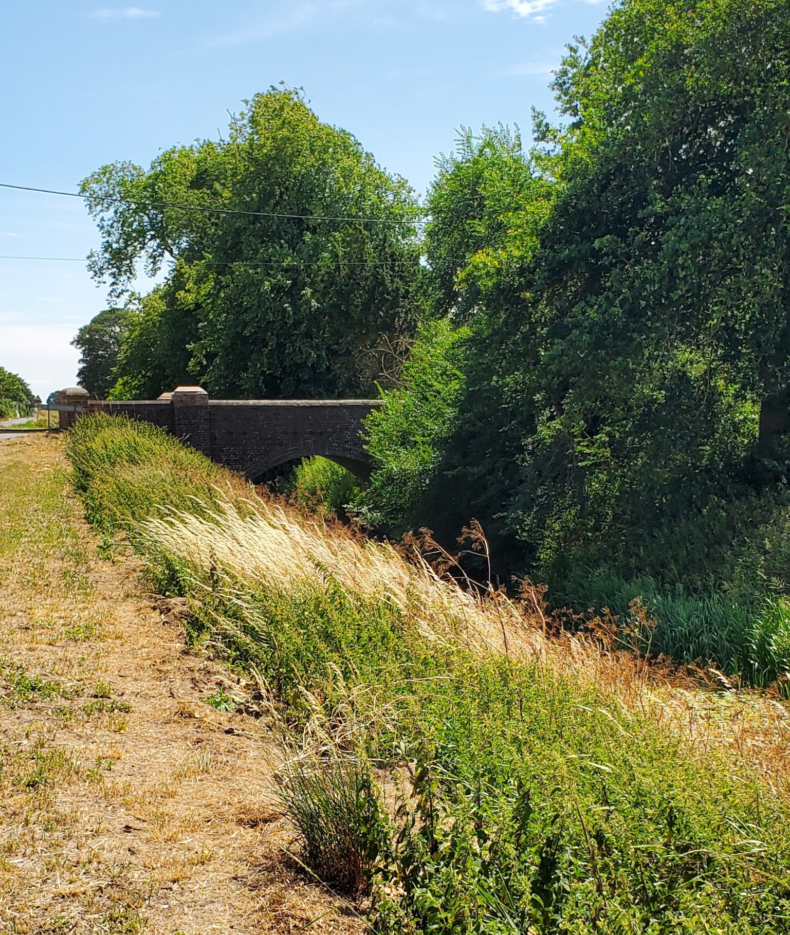 Holland Fen bridge
